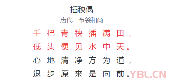 手把青秧插滿田低頭便見水中天是什么意思？