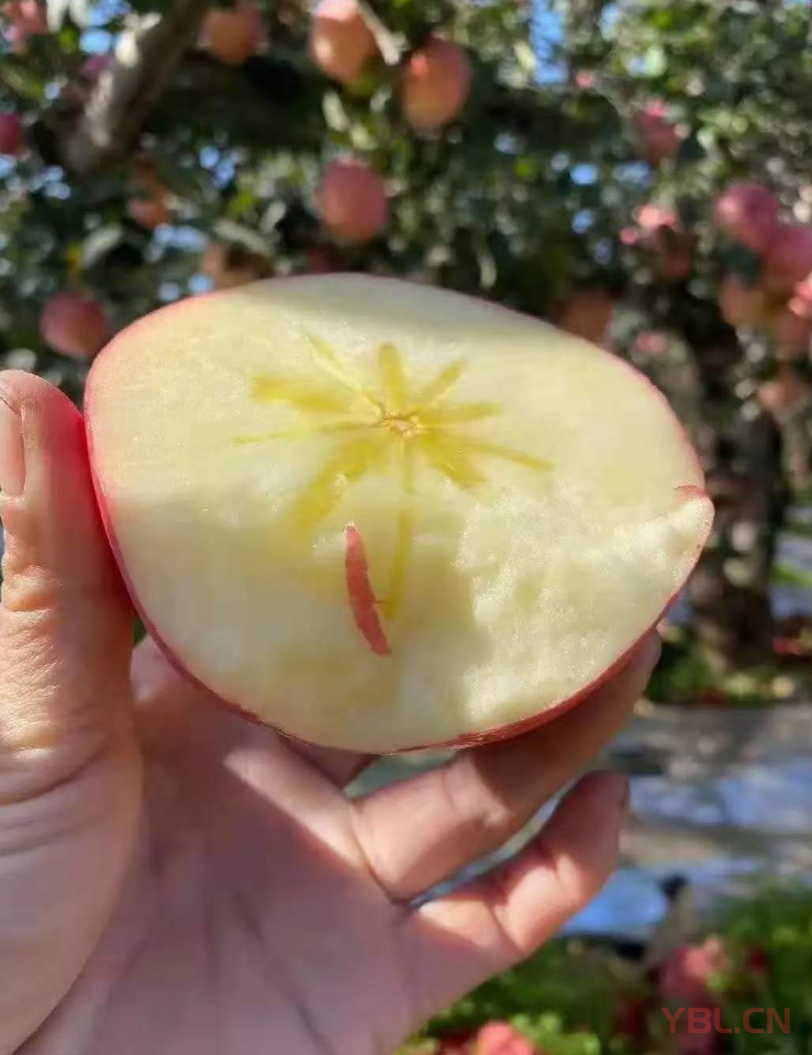 把自己立起來知是基本功，壓的住情緒才是真本事。