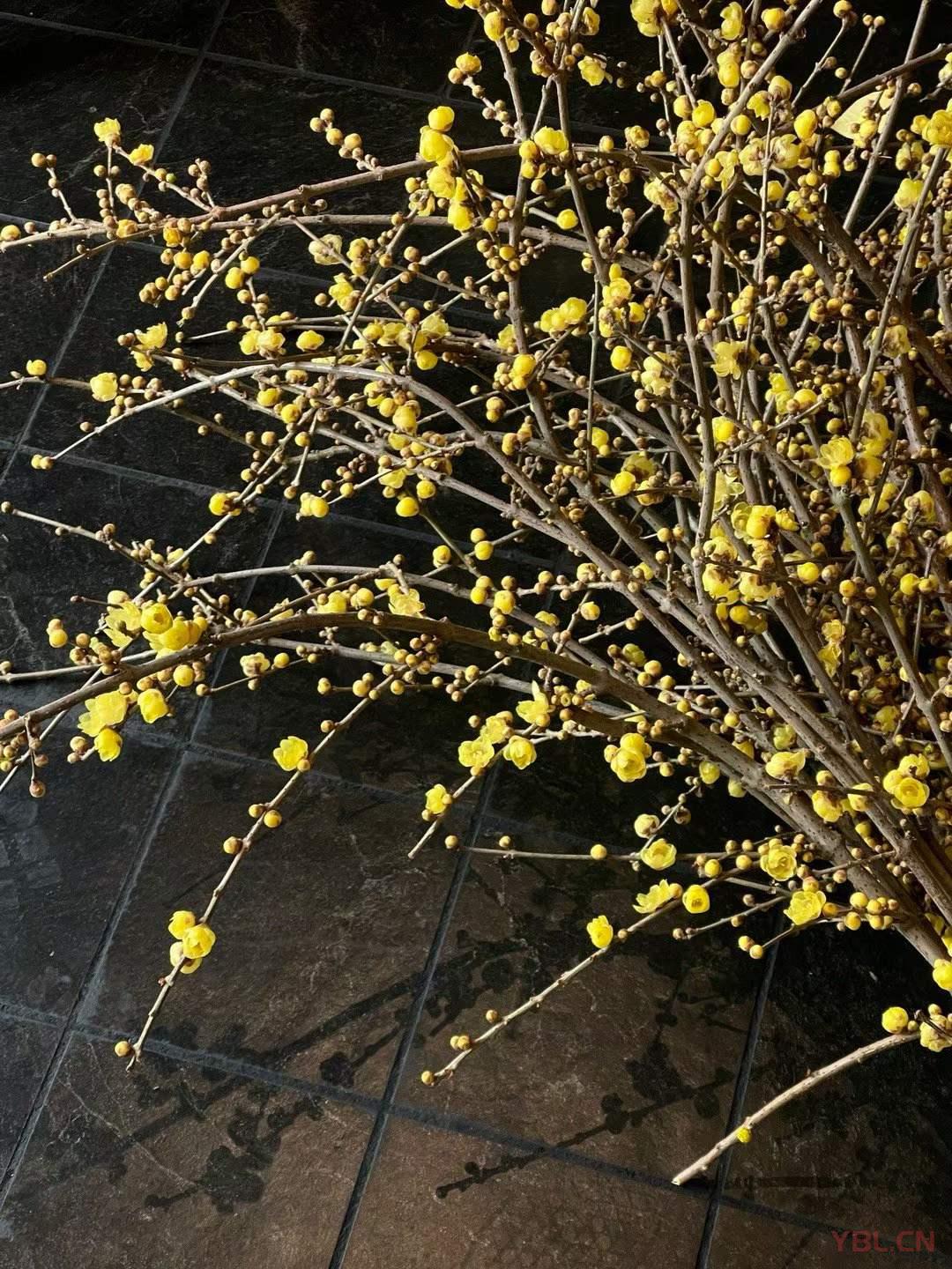 傷人的，負面的，頹廢不積極的話，我從來是不舍得多說的